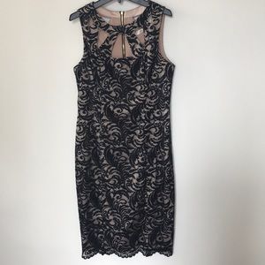 Eliza J Black Lace Nude Sleeveless Dress Size 8